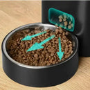 Comedouro Bebedouro Automático Duplo Pet (PROMOÇÃO)